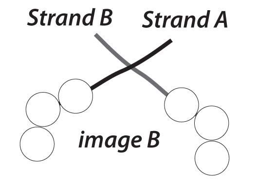 step 2 knot eleastic step 2 knot eleastic