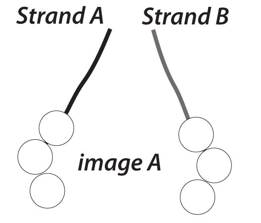 step 1 knot elastic step 1 knot elastic